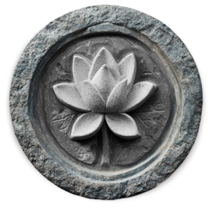 medicina regenerativa Torremolinos